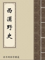 西汉野史