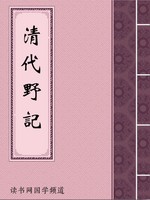 清代野记