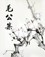 毛公案