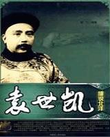 袁世凯(洪宪宫闱艳史演义)