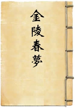 金陵春梦之四:血肉长城