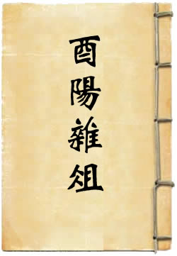 酉阳杂俎译注