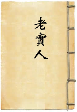 老实人