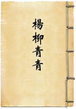 杨柳青青