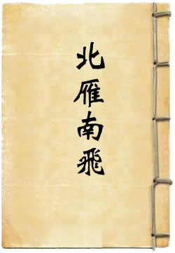 北雁南飞