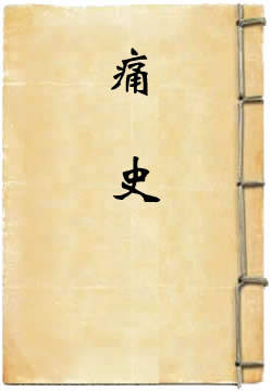 痛史